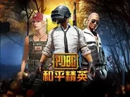 Pubg icon